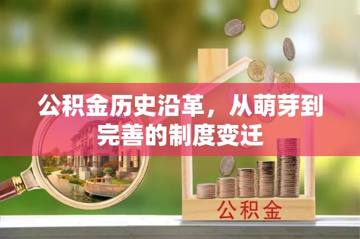 大祥公积金历史沿革，从萌芽到完善的制度变迁