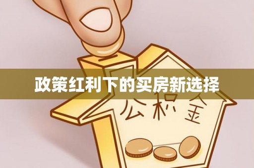 大祥政策红利下的买房新选择